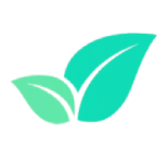 FundyTree